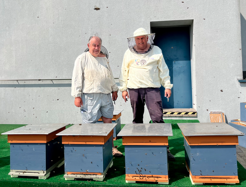 Beekeepers with the new beehives